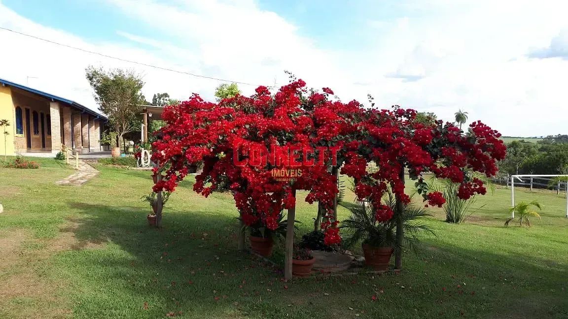 Sítio à venda, Cajuru, SP - Foto 2