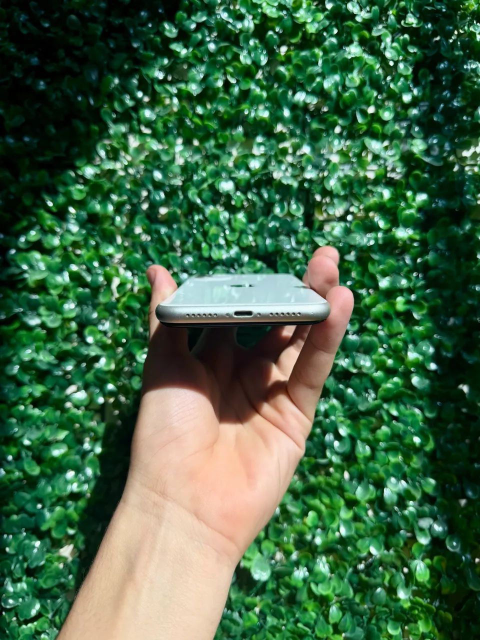 iPhone 11 | 128GB