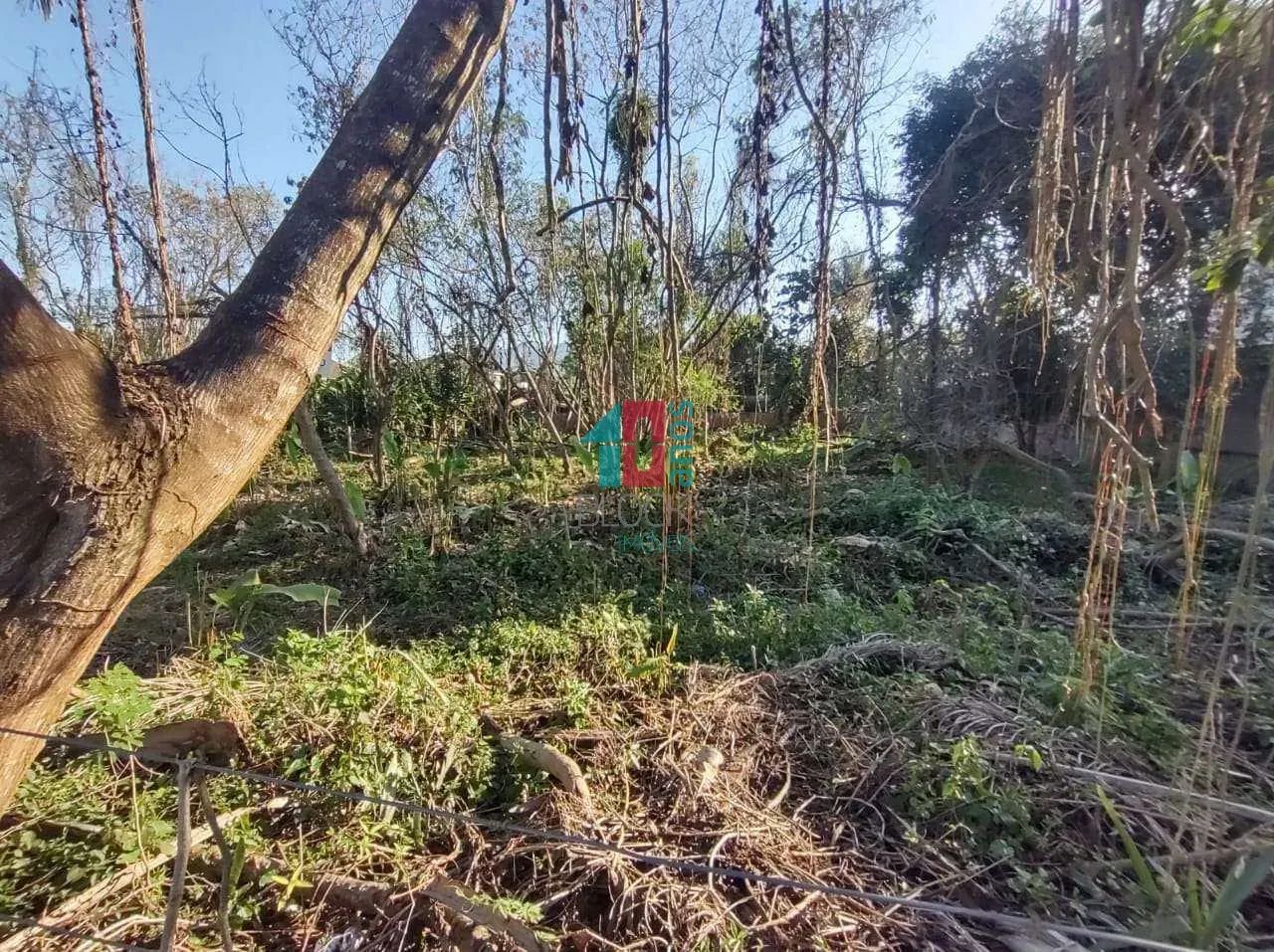 Recreio dos Bandeirantes | Terreno - Foto 2