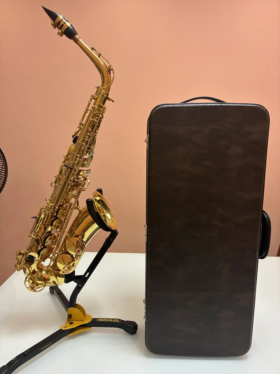 Sax alto yanagiswa 900 seminovo - Instrumentos musicais - Jardim