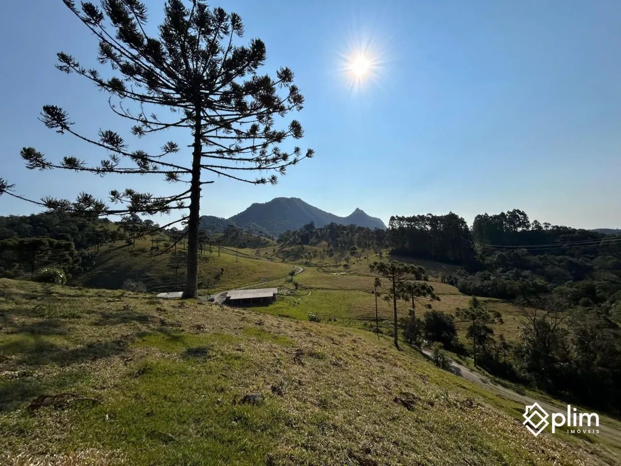 Propriedade Rural em Bom Retiro SC com 86 hectares