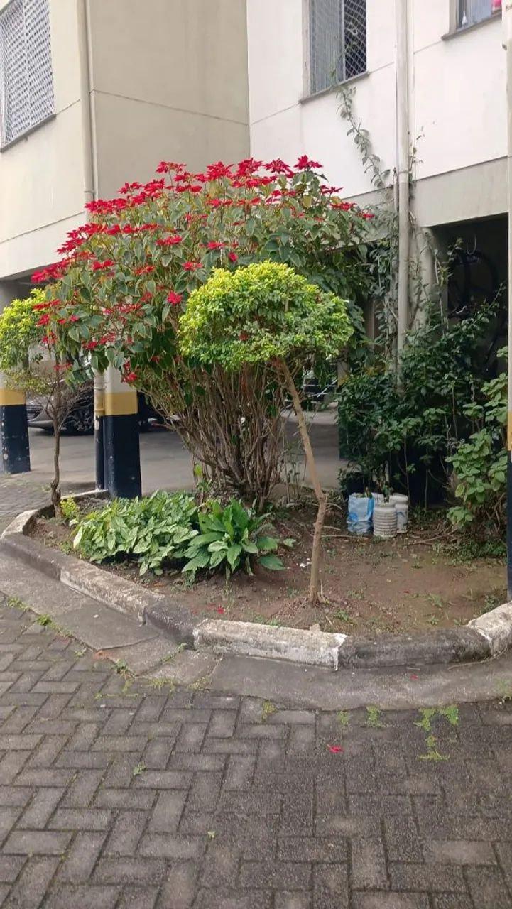 Alugo apartamento ceecap guarulhos - Foto 3