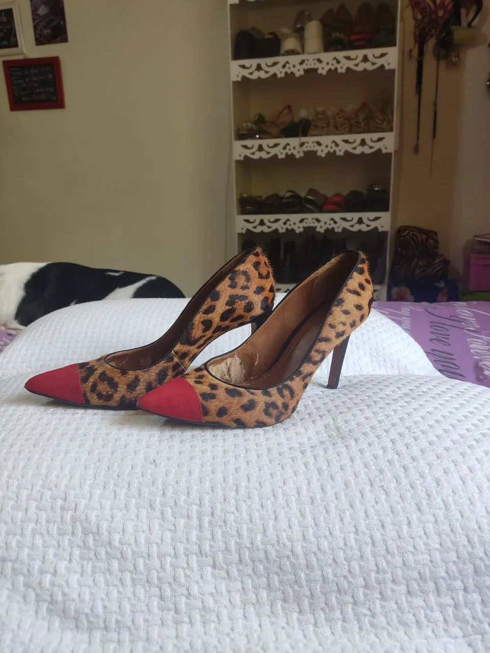 Scarpin onça de rica  - Foto 4