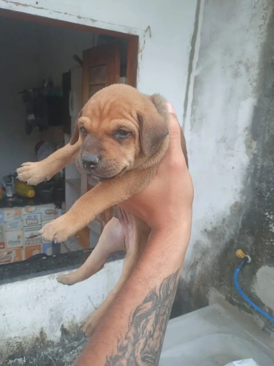 DOAÇÃO - Foto 2