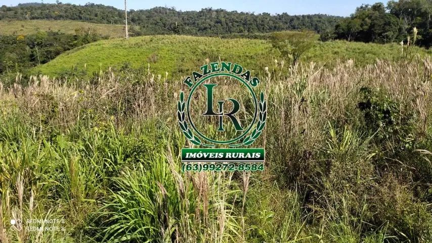 Fazenda 662 alqueires estado Pará - Foto 5