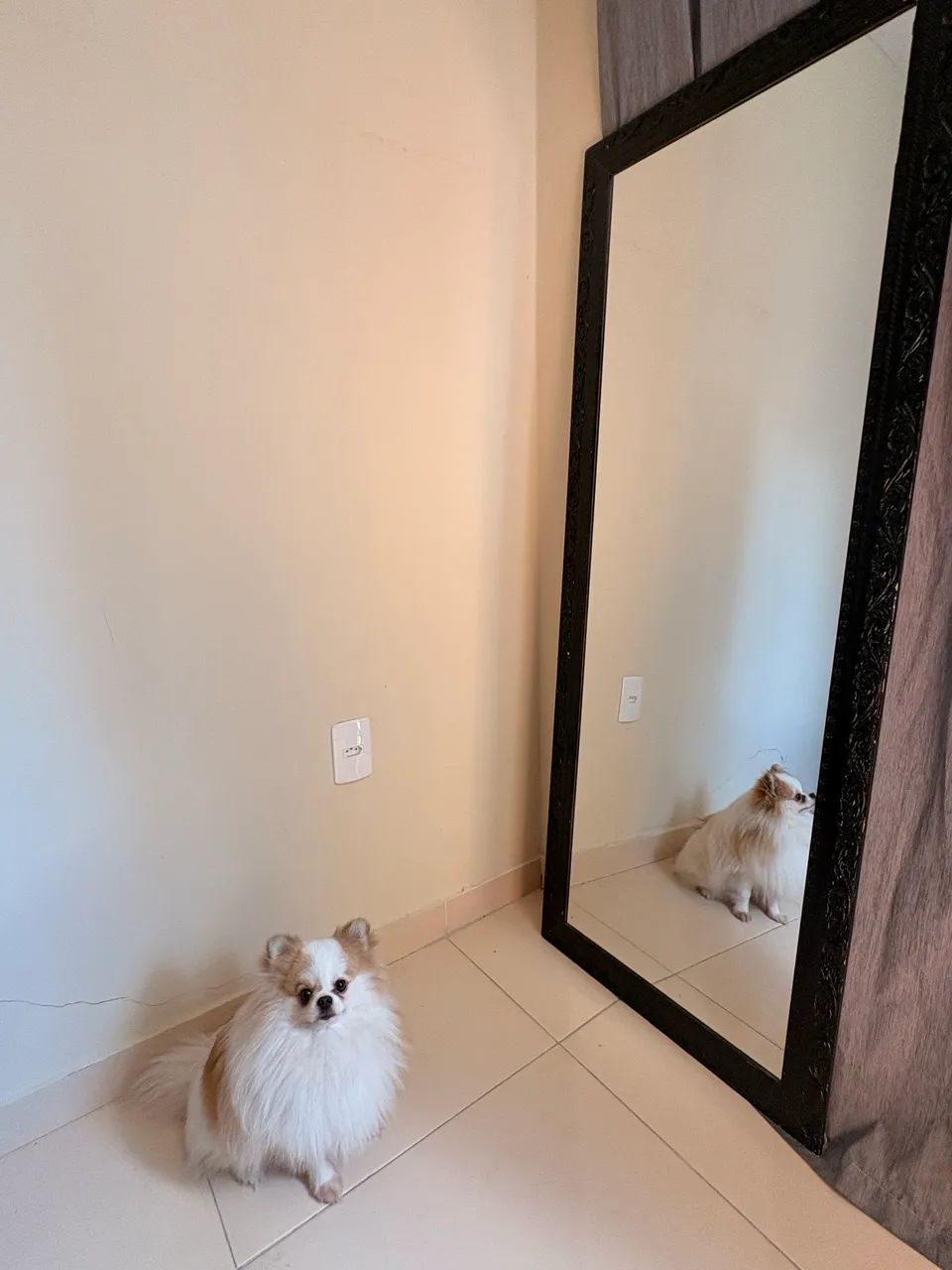 Espelho grande  - Foto 4