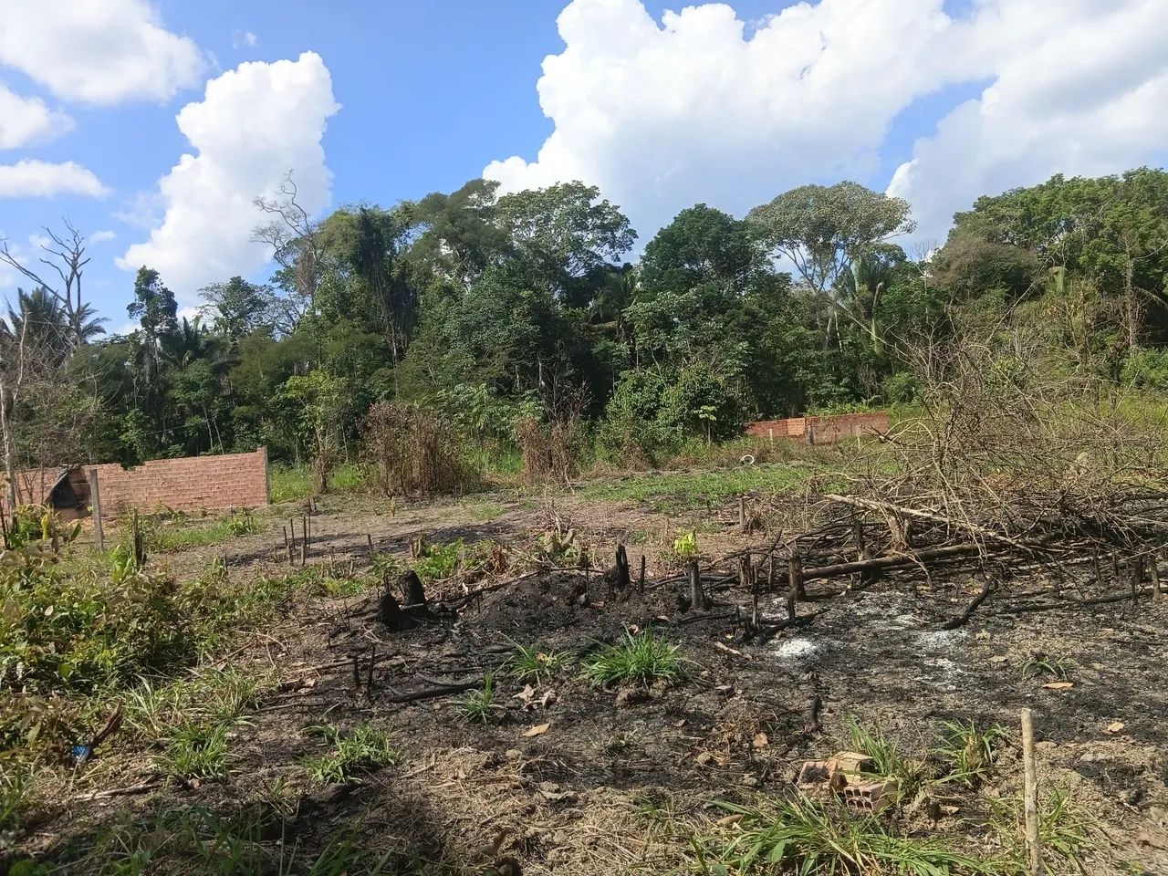Terreno parcelado  - Foto 5