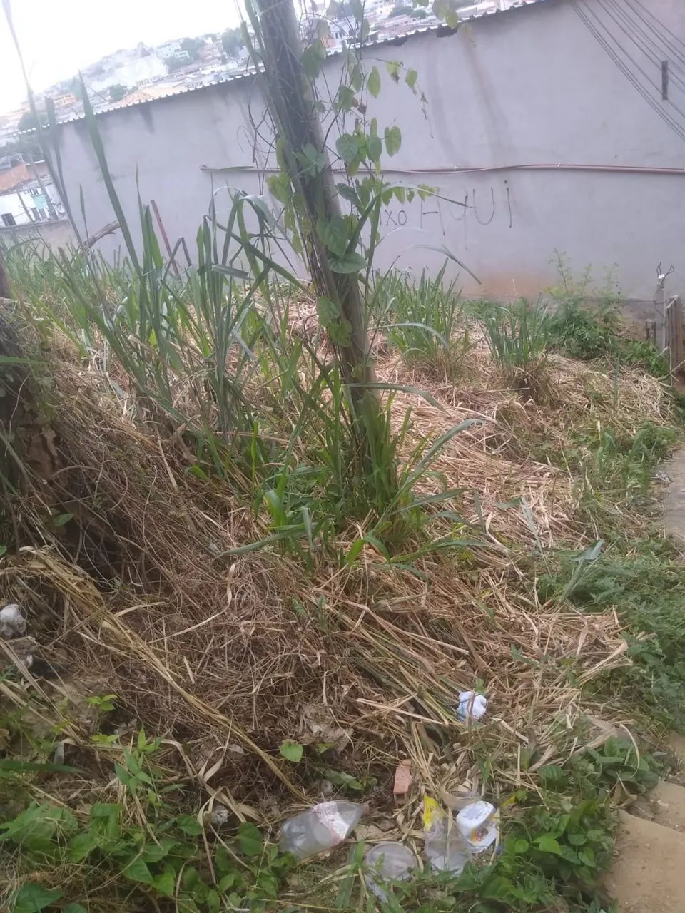 Foto - Vila Velha - Alecrim