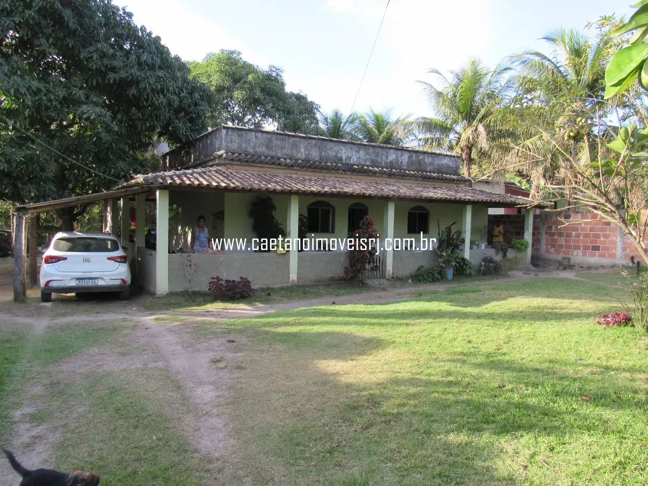 Chácara Plana, Murada e C/ Muitas Frutíferas - Preço de Oportunidade - Foto 3
