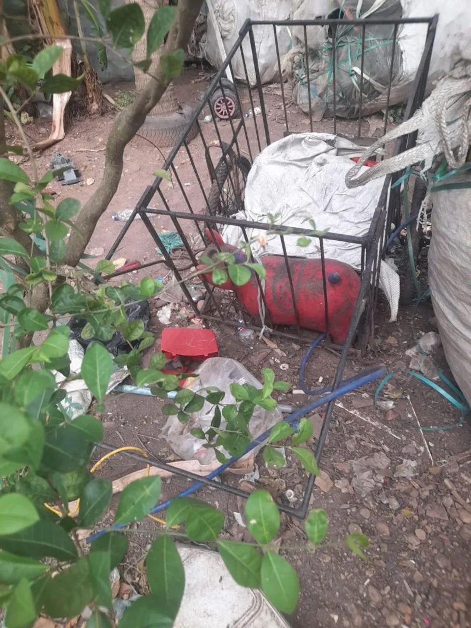 Carossa  - Foto 2