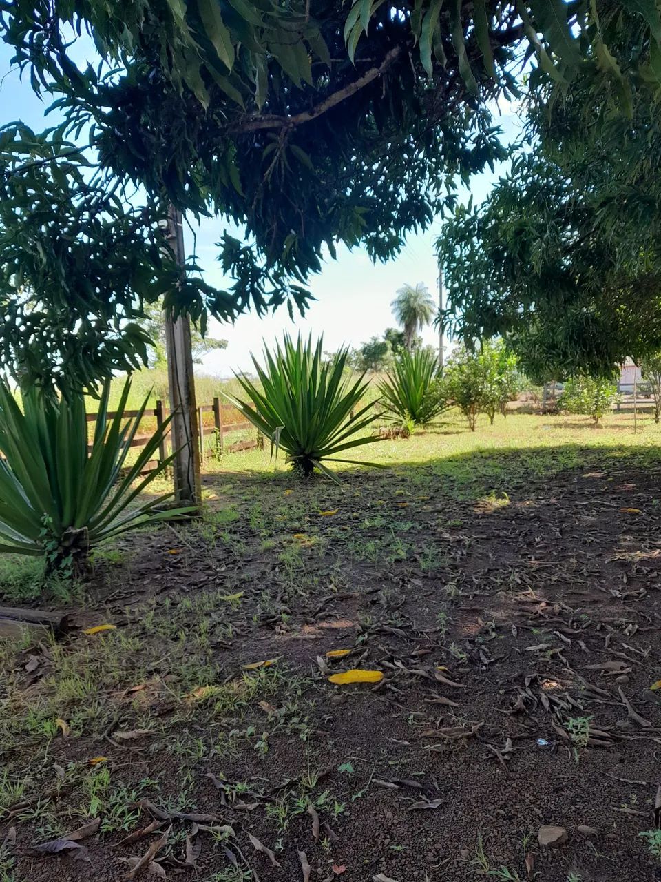 Vendo um terreno  - Foto 3