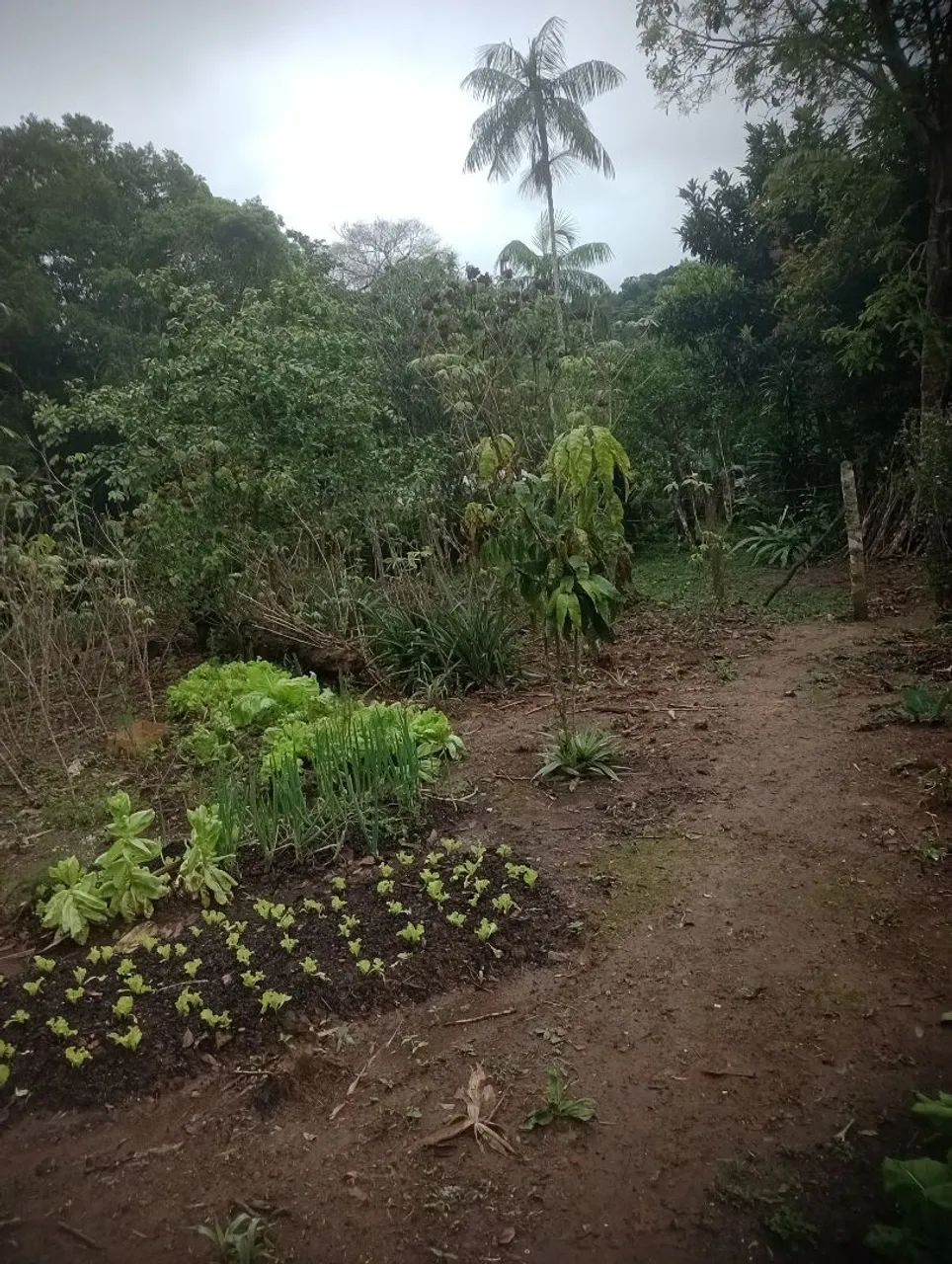 Terreno à venda  - Foto 2