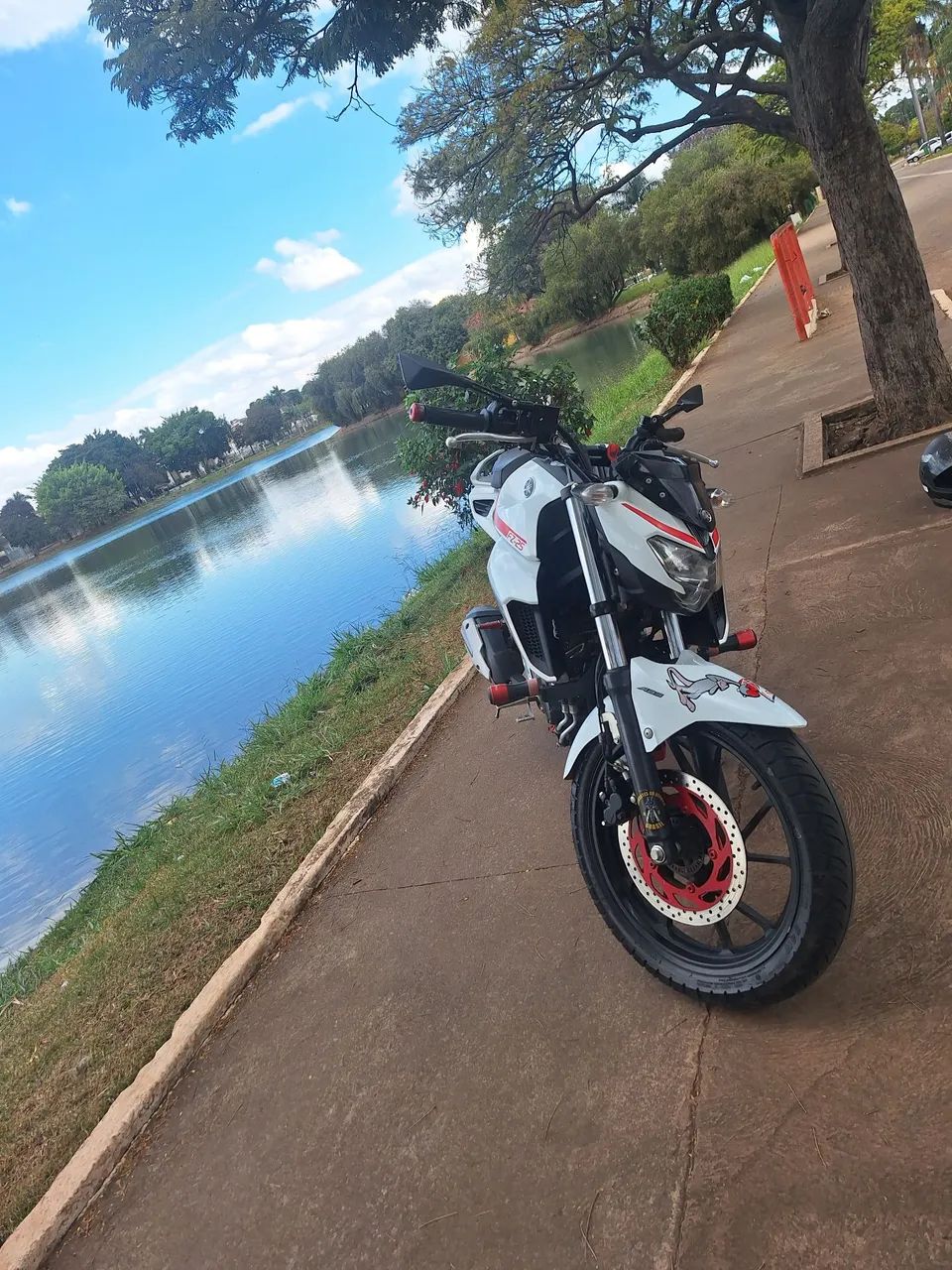 Fazer 250 2019/2019 - Foto 3