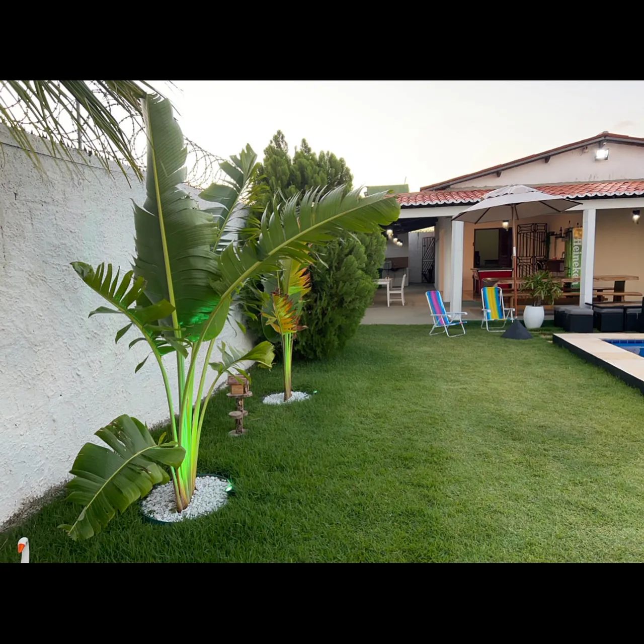 CARNAVAL PROMOÇÃO - Foto 2