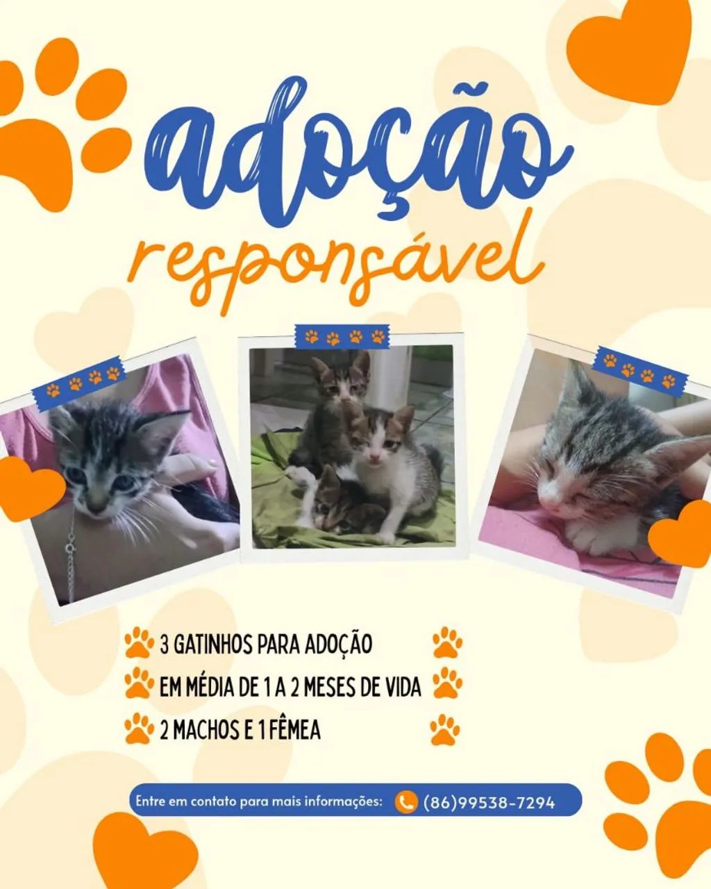 Adoção responsável 