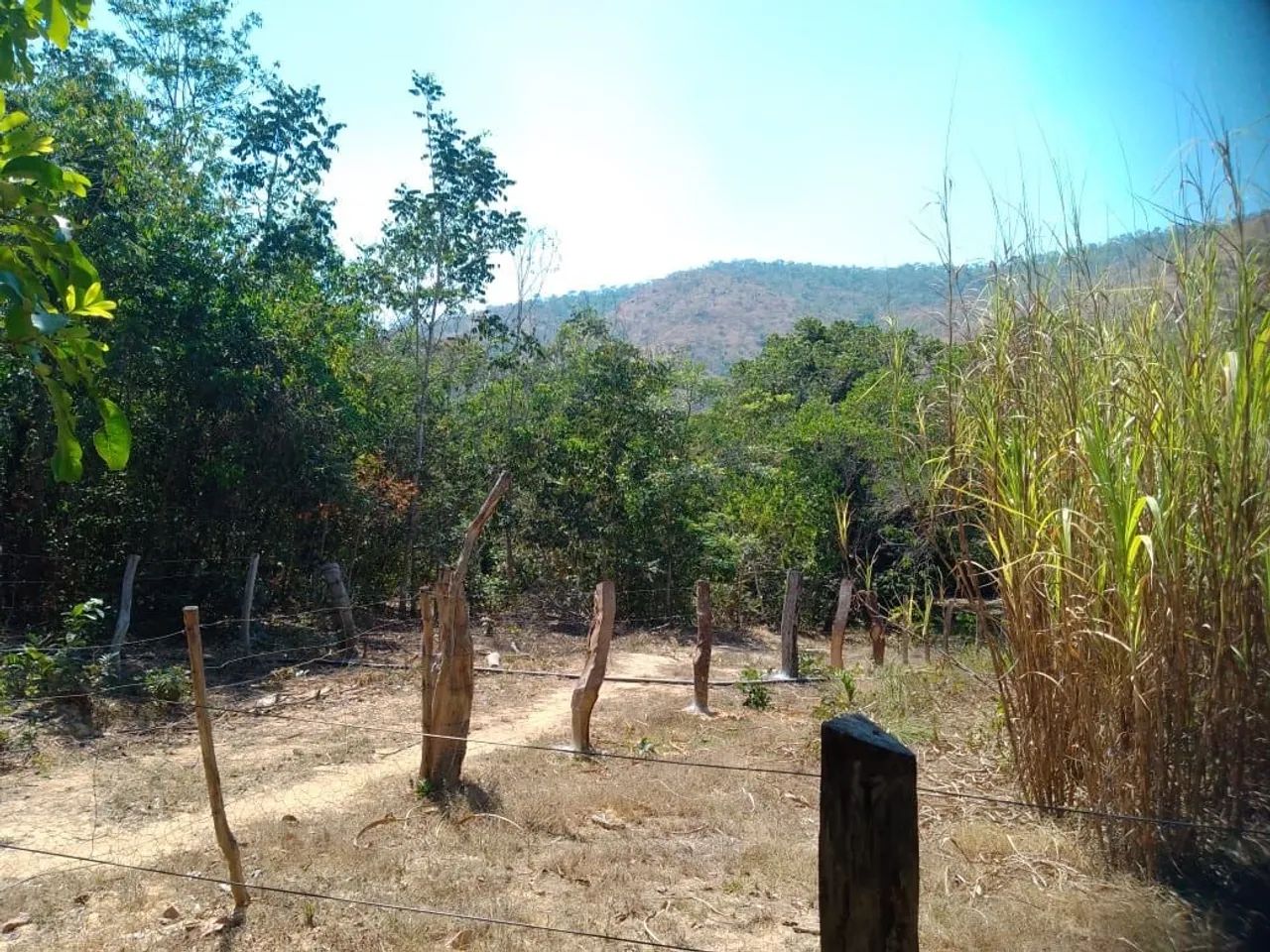 Fazenda em Silvanópolis -86 alqueires