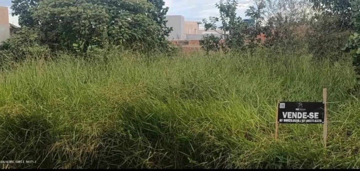 Foto - Campo Grande - Vila Neusa