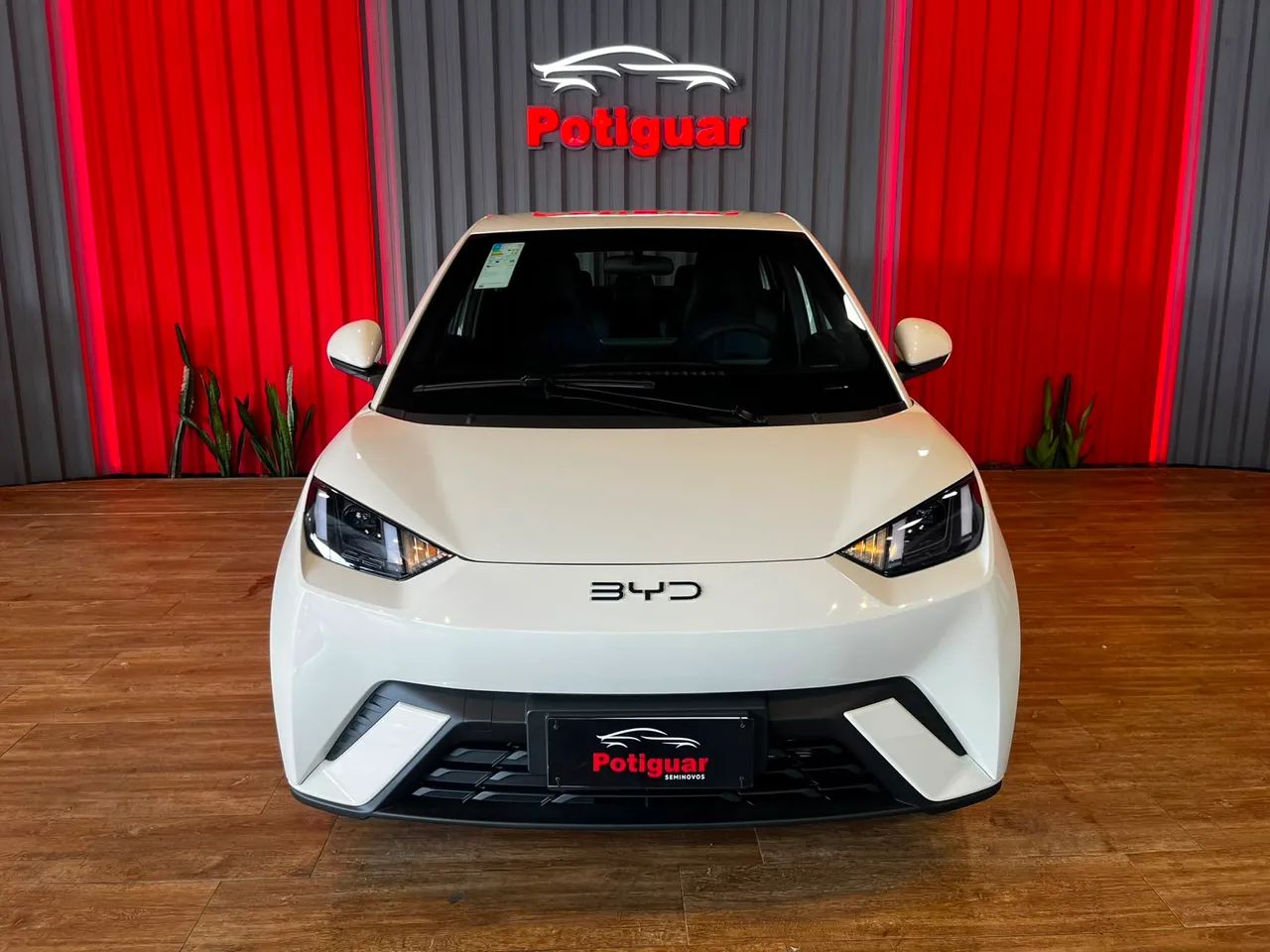 BYD Dolphin Mini (Elétrico) 2027