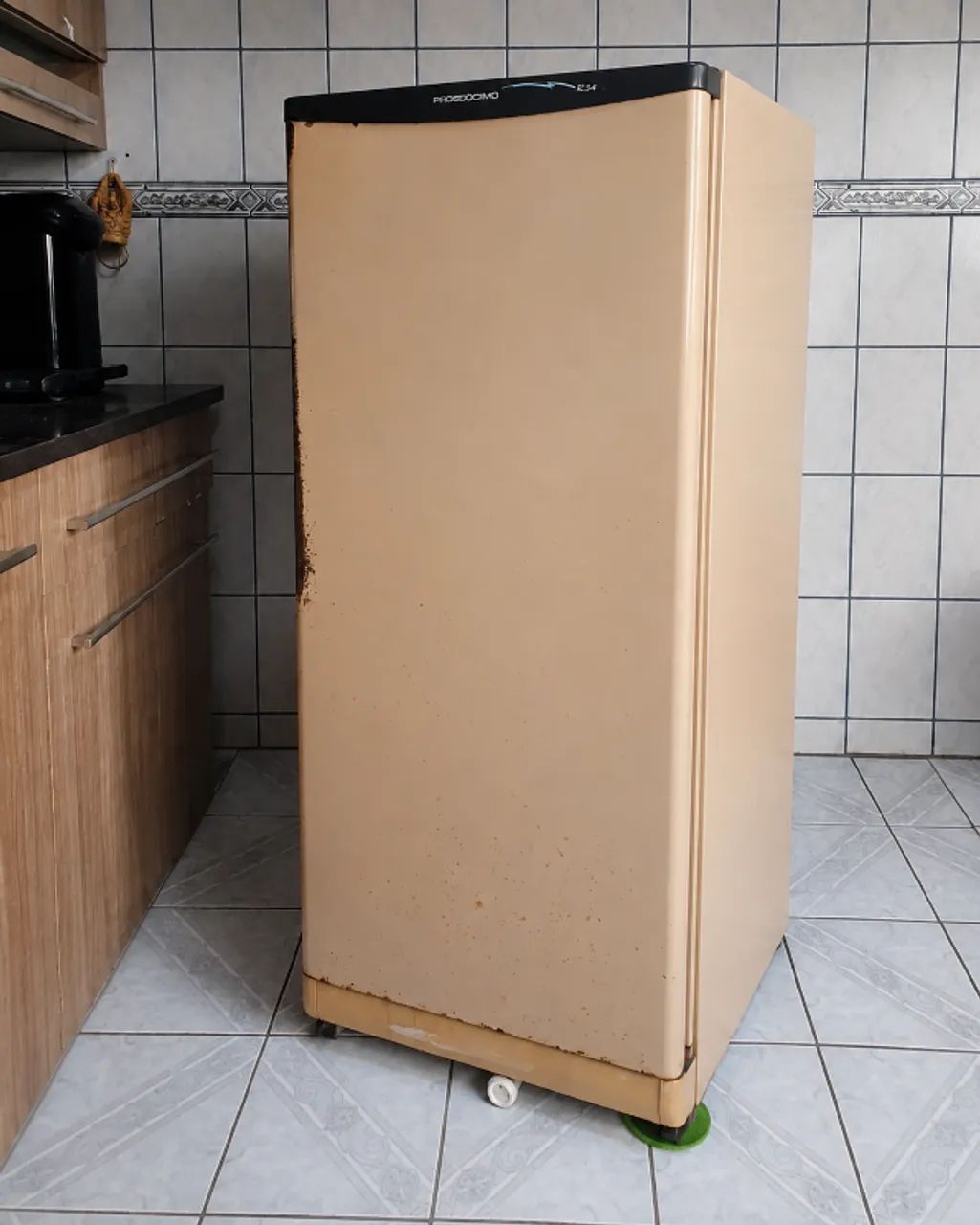 Geladeira Prosdócimo 220V Funcionando