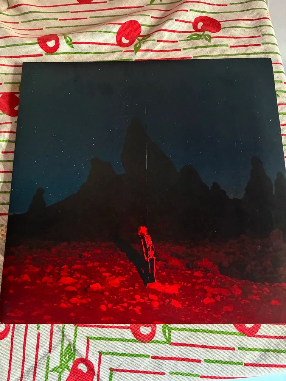 Phoebe Bridgers - Punisher | Vinil LP  - Foto 2