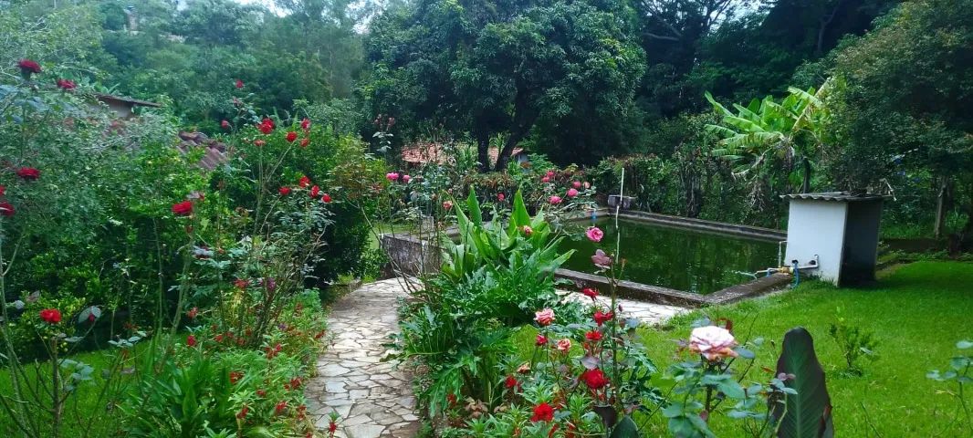 Foto - Juatuba - 