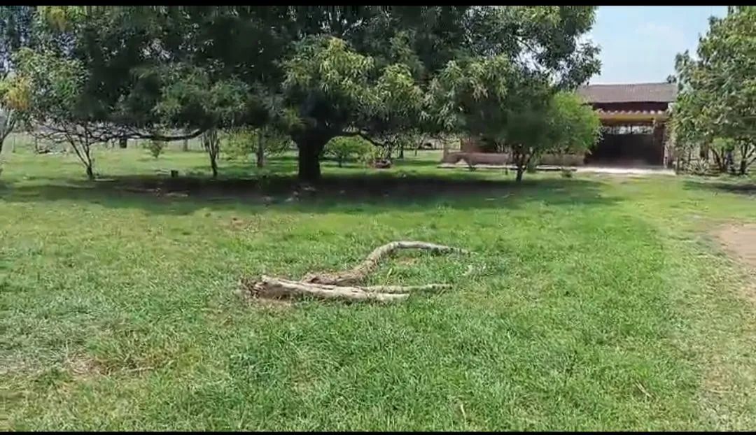 Vendo Chácara no Vila Acre - Foto 4