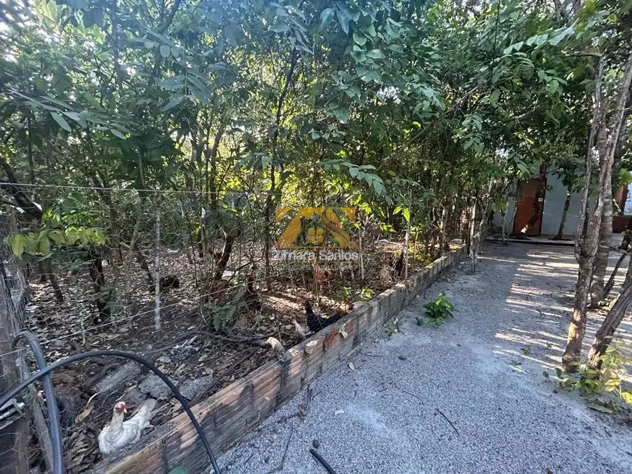 Chácara, 8000 m² - Zona Rural - Palmas/TO - Foto 11