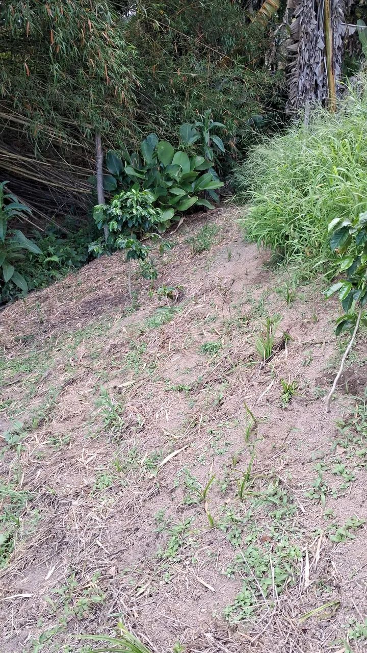 Vendo troco