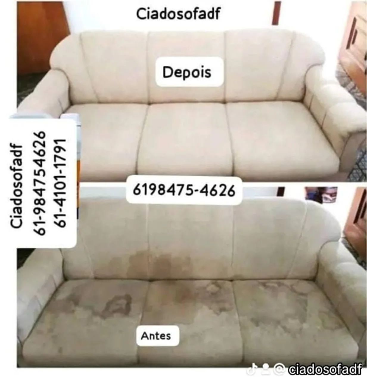 Jardim  - Foto 2