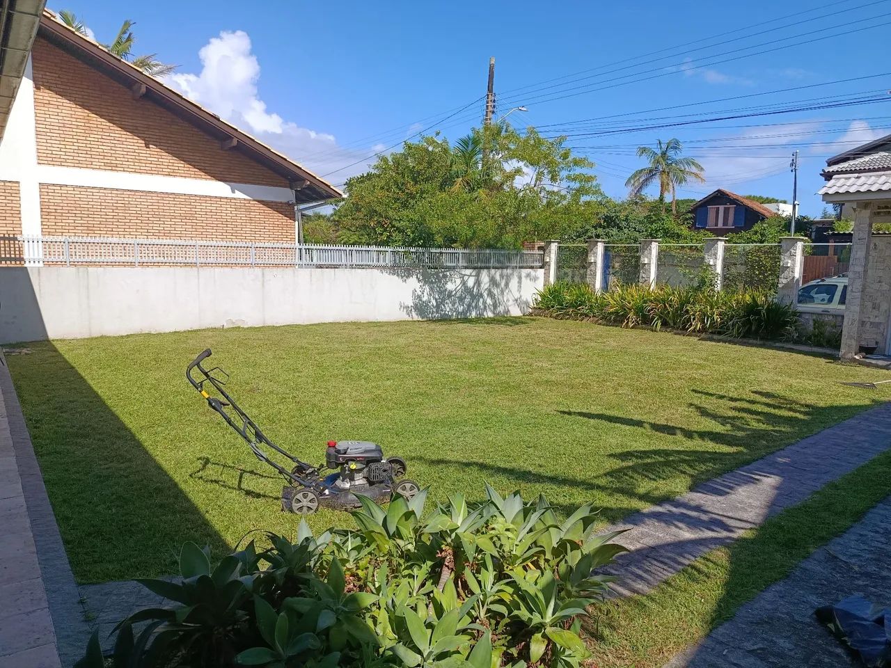 Jardinagem e paisagismo  - Foto 2