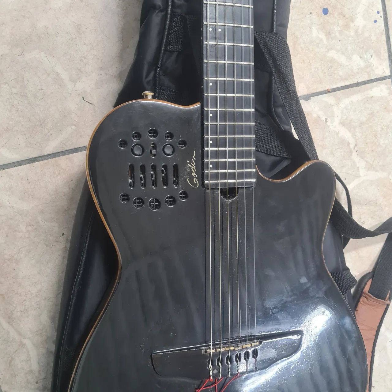 Godin  acs sa 2008