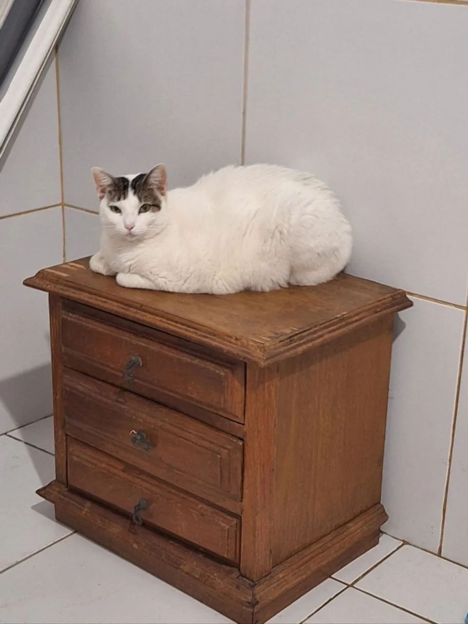Mesinha de cabeceira de madeira 