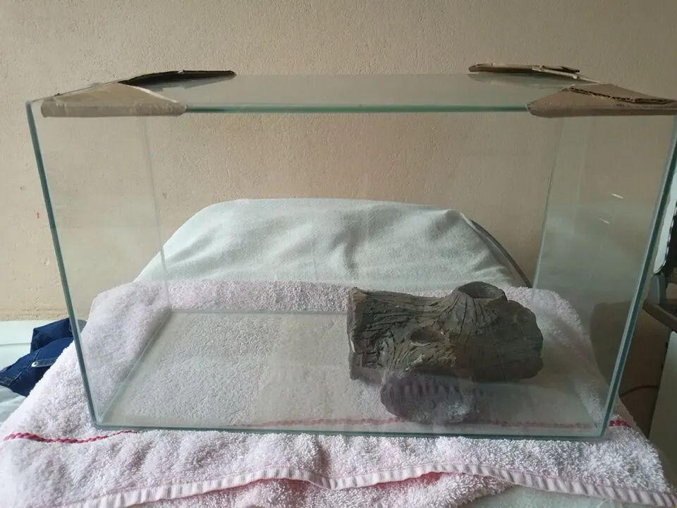 Aquário 15litros 