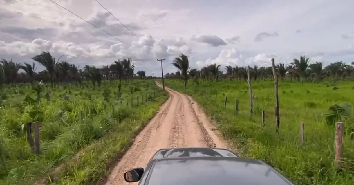 Fazenda c/ 700 hectares. - Foto 2