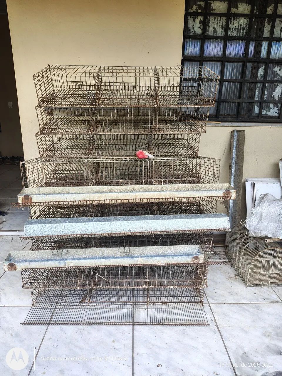 Gaiolas para codornas 