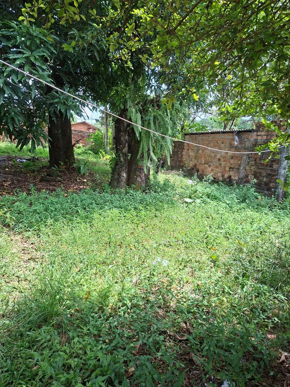 Vendo casa no curucambá - Foto 4