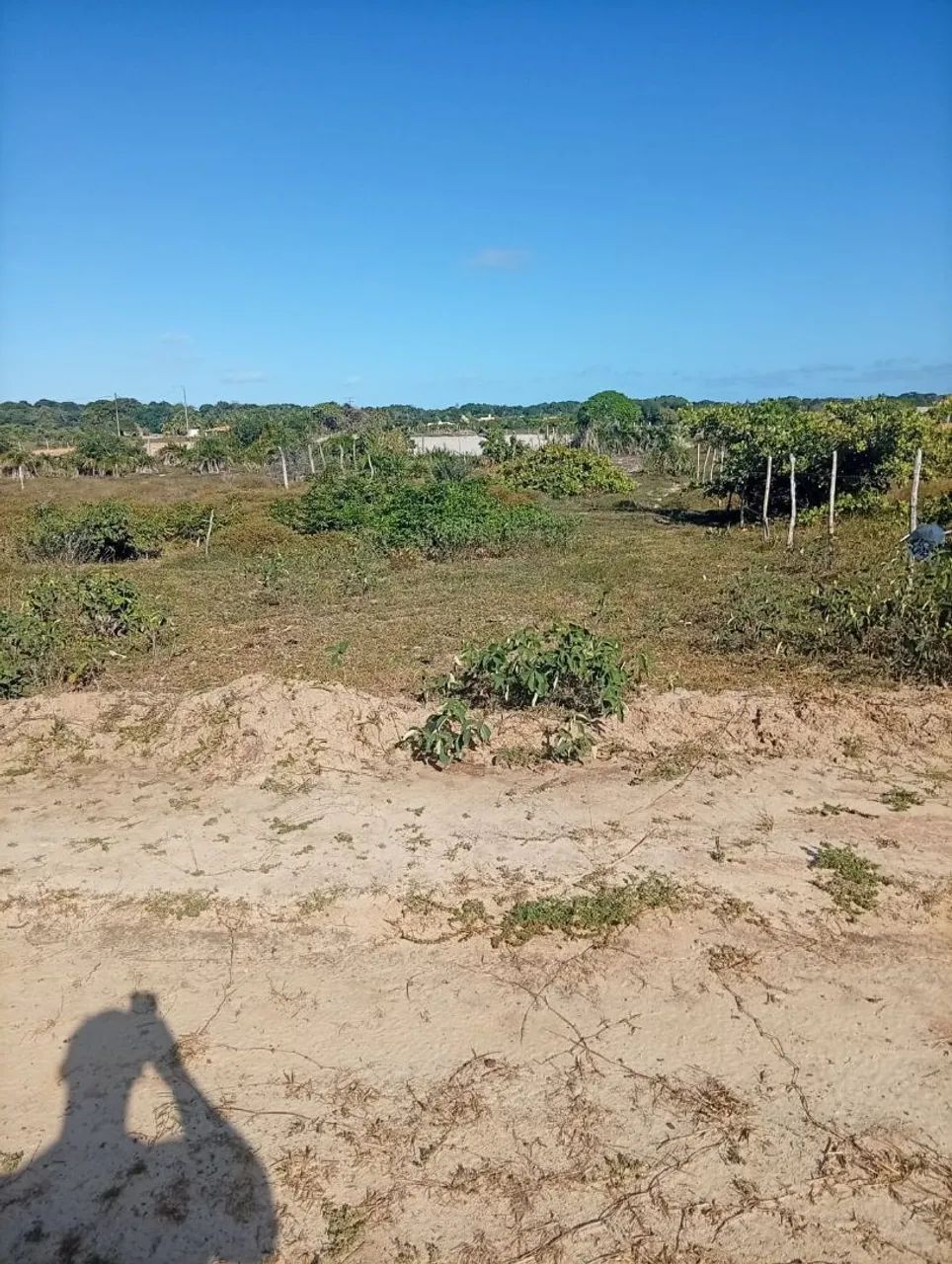 Terreno no Abais Loteamento Estrela do Abais - Foto 4