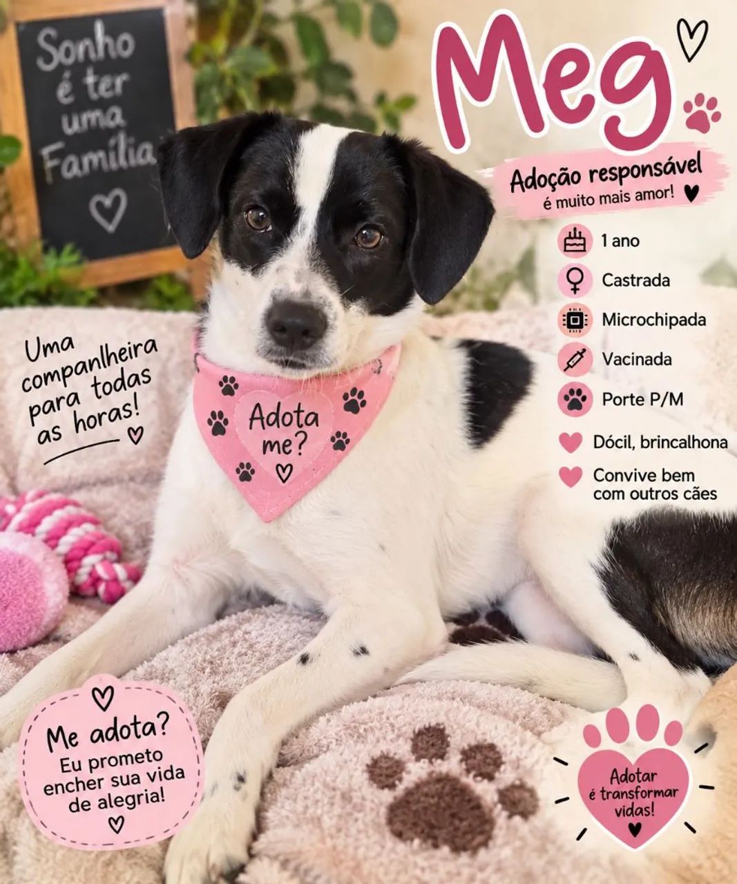 Um lar para Meg 