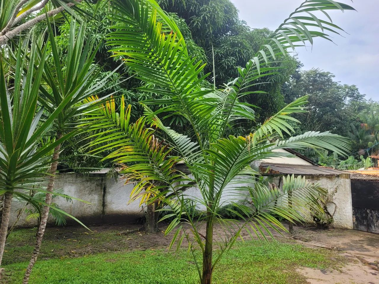 Melhor lugar do mundo ?!!!