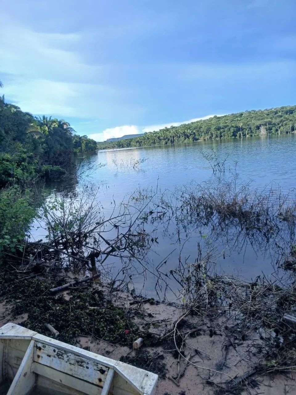 Sítio no manso do lado de chapada  - Foto 3