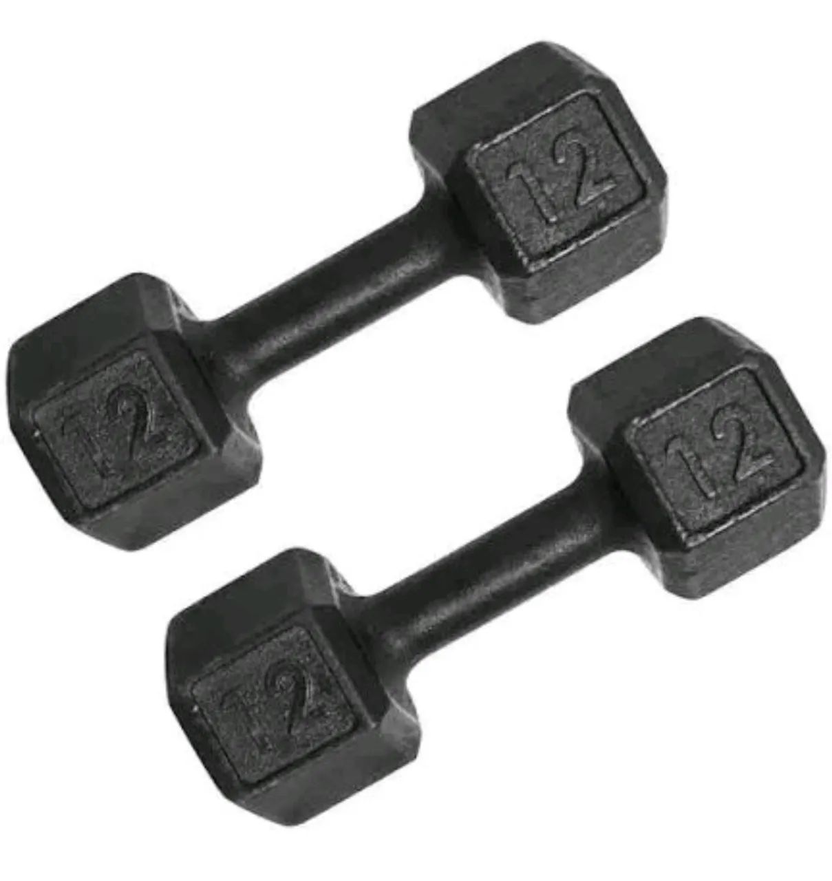 Par de alter 12 kg