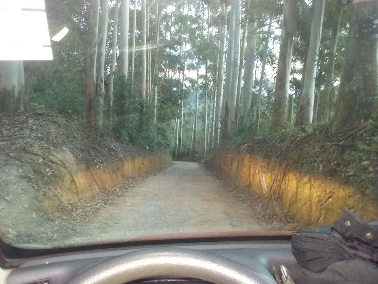 VENDO
