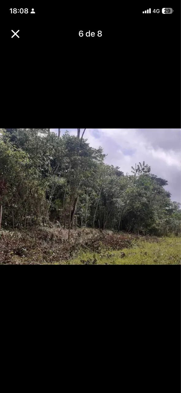 Terreno com Igarapé no outeiro  - Foto 5