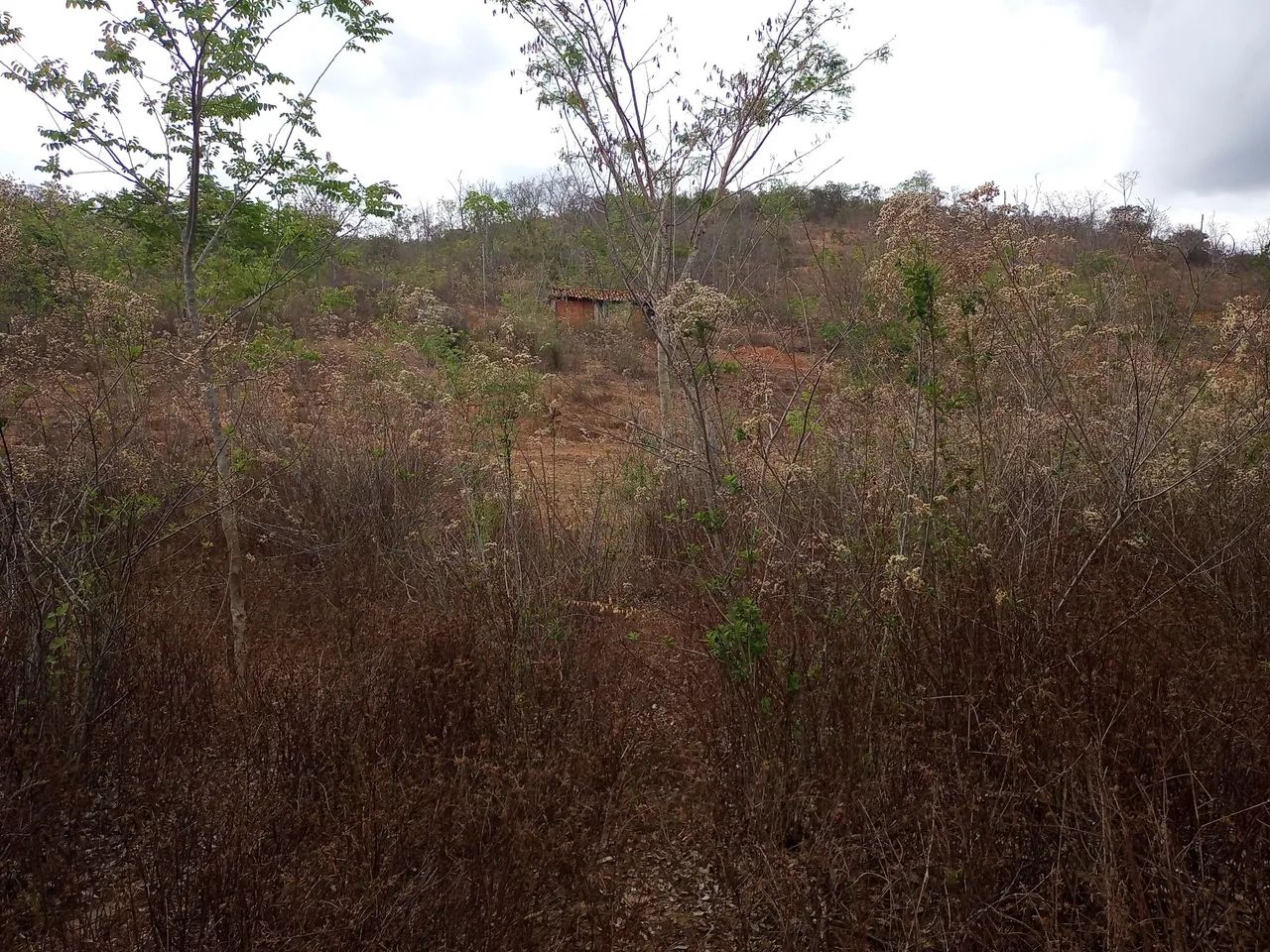 Terreno em Fechados Serra do Cipó  - Foto 5