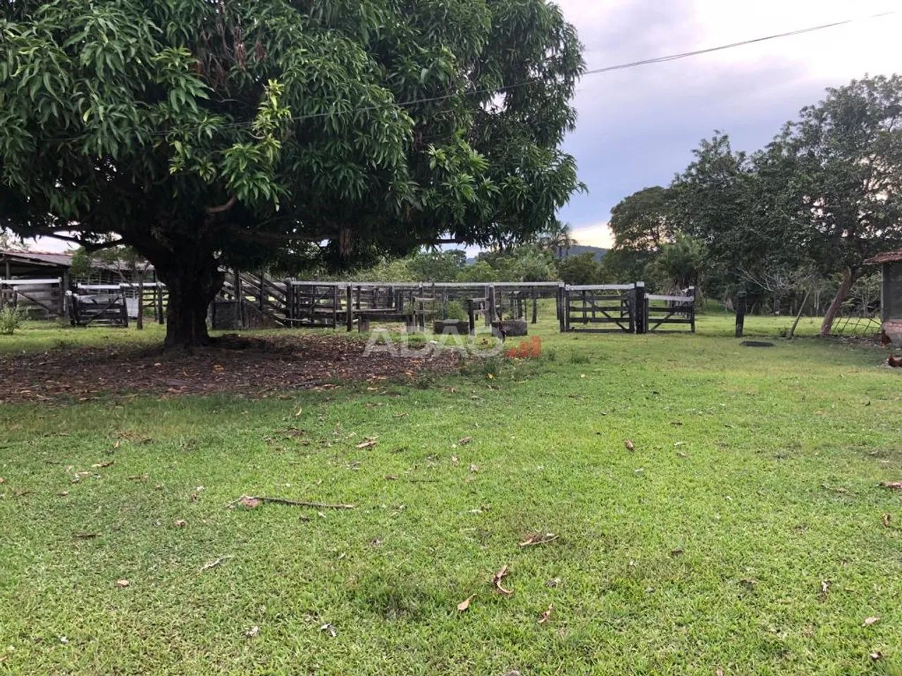 Fazenda município de Crixás - Foto 2