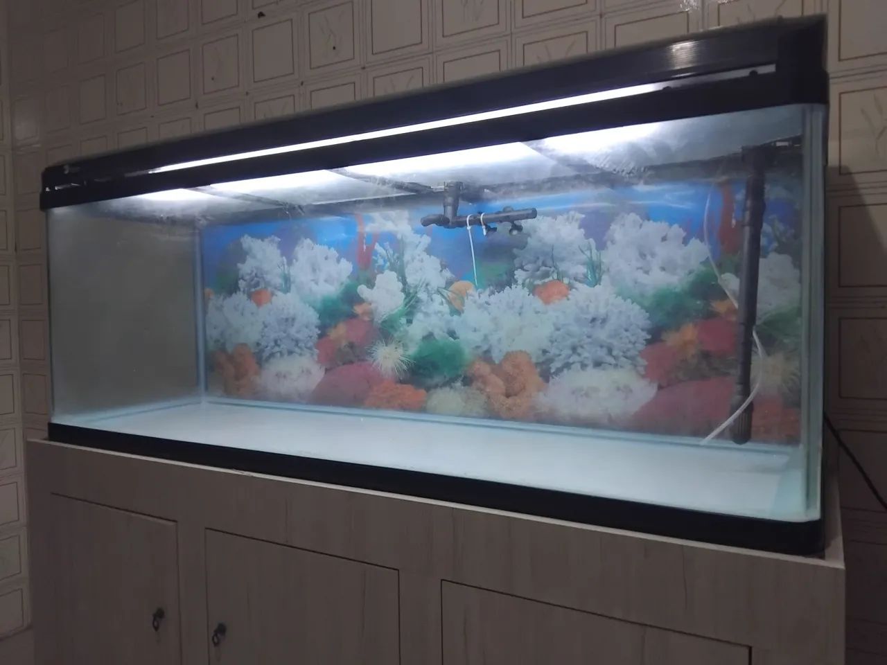 Aquário curvo electrical rs 1m 50 347litros - Foto 6
