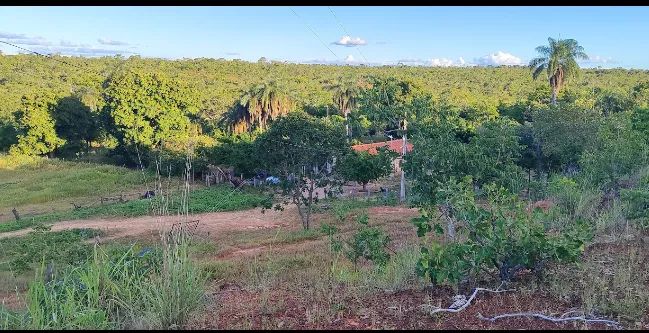 Fazenda 41 hectares  - Foto 2