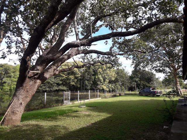 Fazenda 3500Ha - Ribeirão Cascalheira / Agua Boa - Foto 6