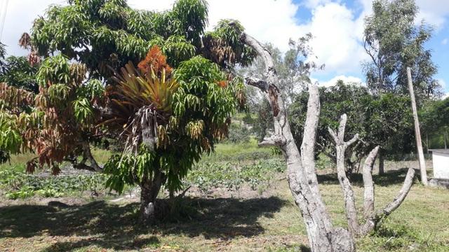 Área na BR em Gravatá/PE, com 05 hectares - REF. 131 - Foto 18