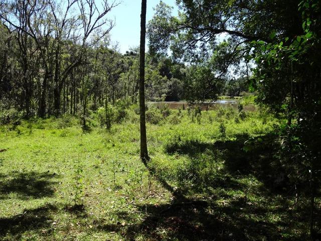 Área de 20000m² própria para chácara com privacidade - Foto 4